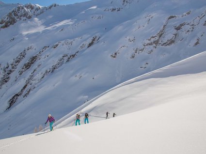 Alpi Aurine e Stubai: sci estivo ed escursioni Gruppo di scialpinisti che sale una montagna innevata
