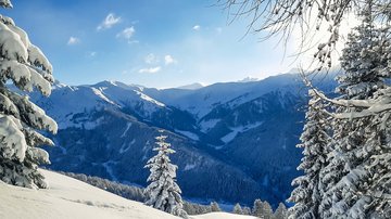 News (Liste) Schneebedeckte Berge und Tannen unter klarem blauem Himmel