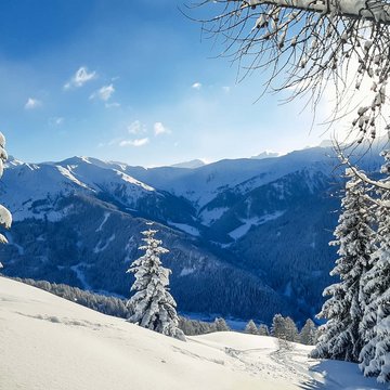 Neuigkeiten aus dem Motorradhotel in Tirol Schneebedeckte Berge und Tannen unter klarem blauem Himmel