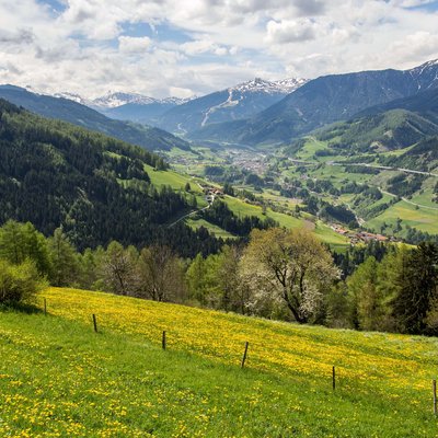 News (Liste) Bergtal mit grünen Wiesen, gelben Blumen und schneebedeckten Gipfeln bei bewölktem Himmel