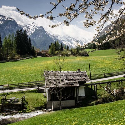 News (Liste) Almhaus an Bach mit blühender Wiese und schneebedeckten Bergen im Frühling