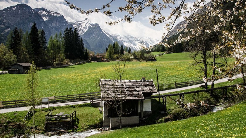 Wenn die Natur erwacht Almhaus an Bach mit blühender Wiese und schneebedeckten Bergen im Frühling