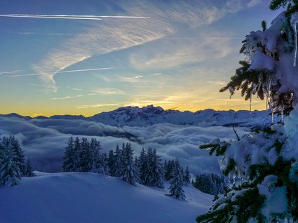 Accommodation in Matrei with environmental certifications Winter mountain landscape with snow-covered trees and sunset