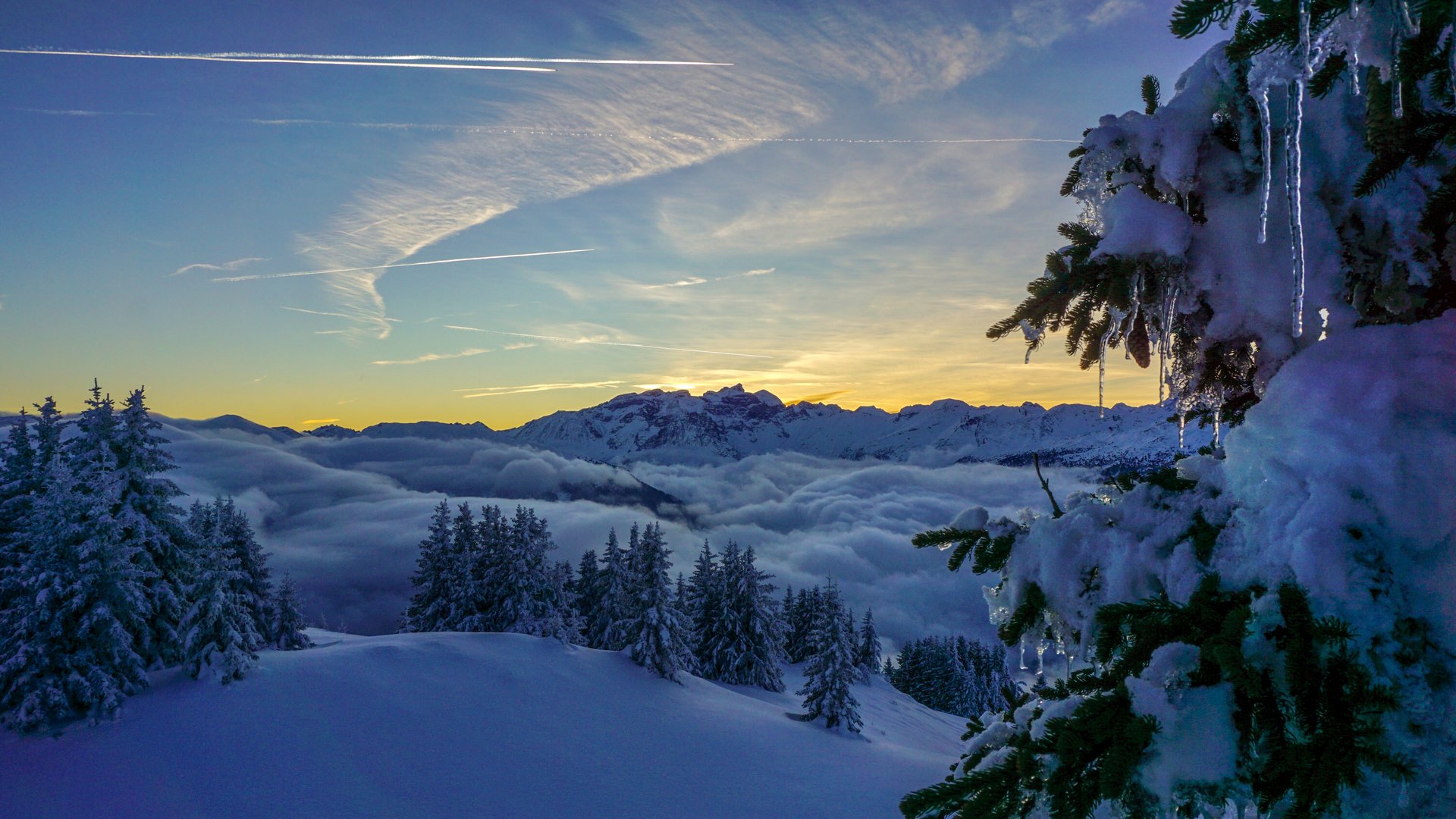 Winter mountain landscape with snow-covered trees and sunset