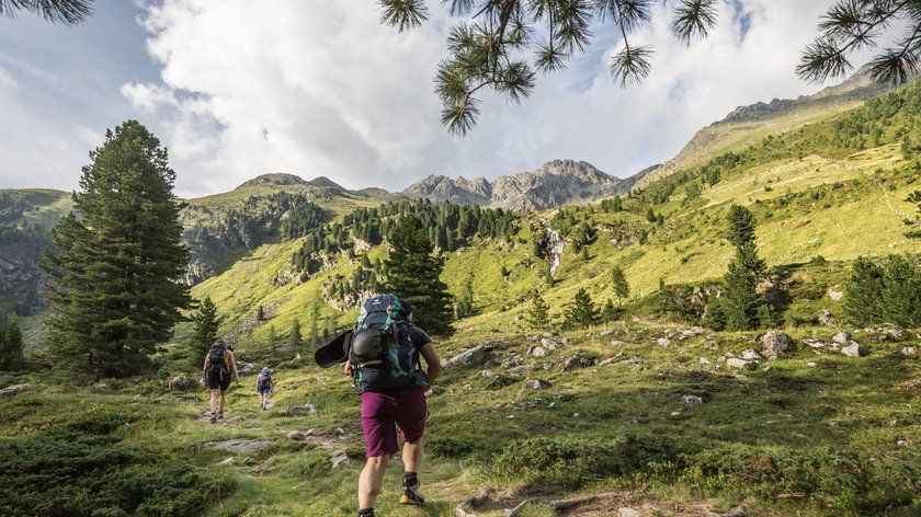 Almwanderungen mit Hütteneinkehr im Wipptal Wanderer mit Rucksack auf Bergpfad vor grüner Berglandschaft