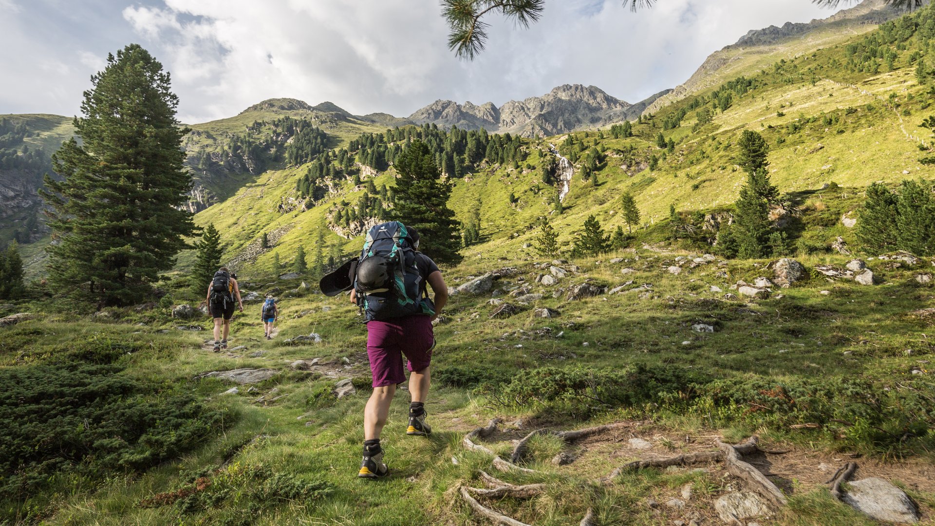 Sporthotel in Tirol: Aktivurlaub im Parkhotel Matrei Wanderer mit Rucksack auf Bergpfad vor grüner Berglandschaft
