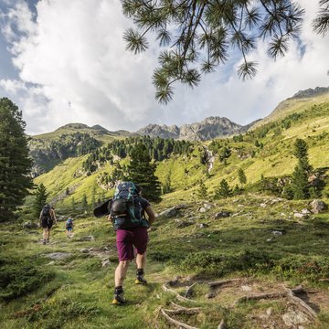 News & Tipps für den Österreich Wanderurlaub | Parkhotel Matrei Wanderer mit Rucksack auf Bergpfad vor grüner Berglandschaft