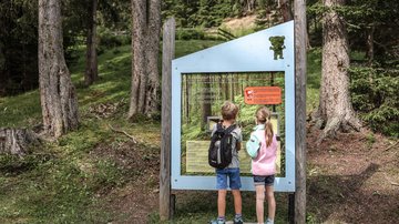 News (Teaser) Zwei Kinder lesen Informationstafeln im Wald auf einem Wanderweg