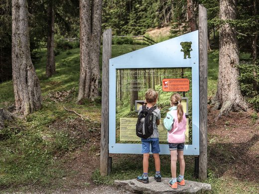 Kurzurlaub in Tirol? Ja, bitte! Zwei Kinder lesen Informationstafeln im Wald auf einem Wanderweg