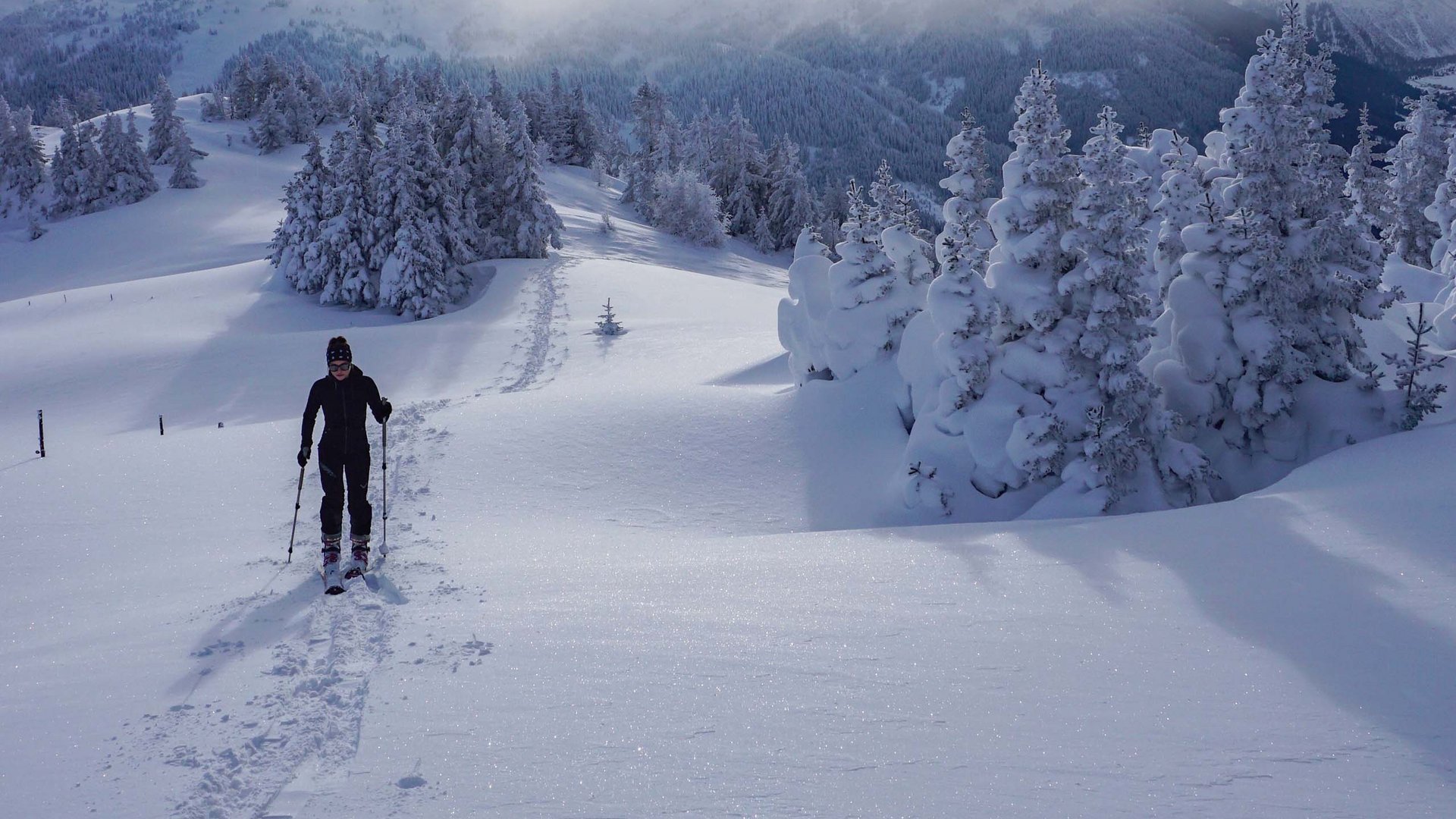 Welches Skigebiet bei Matrei am Brenner magst du am liebsten? Skifahrer wandert durch verschneite Berglandschaft unter bewölktem Himmel